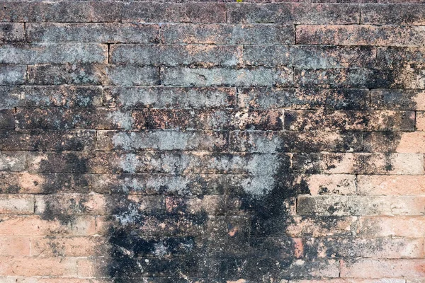 Grunge tijolo parede pedra fundo texturas — Fotografia de Stock
