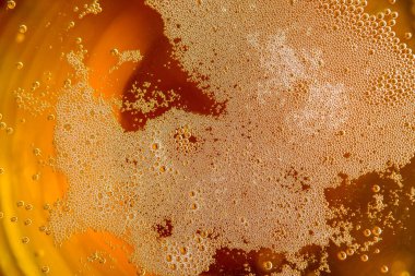 Arka plan için cam köpüklü bira dolduruyorum. 