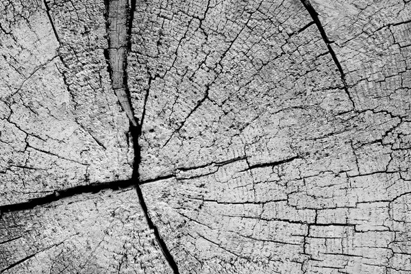 Abstrakt trä struktur bakgrund — Stockfoto