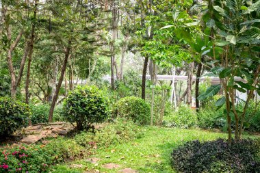 Gölge Bahçe ağaçları