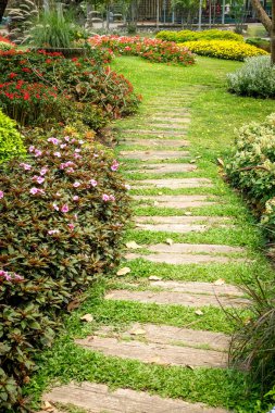 Gölge Bahçe ağaçları