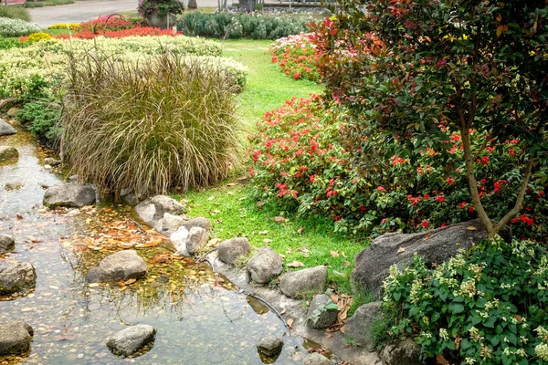 Bomen in de tuin van de schaduw — Stockfoto