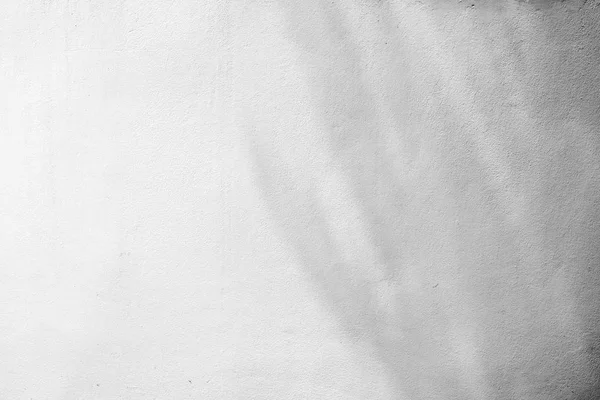 Sfondo astratto textuer di ombra foglia su un muro di cemento . — Foto Stock