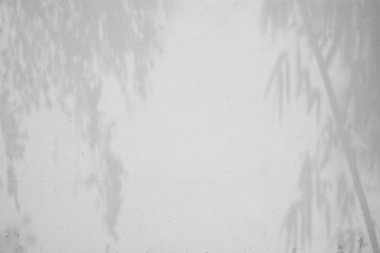 Beton bir duvardaki gölge yaprağının soyut arkaplan dokuyucusu.