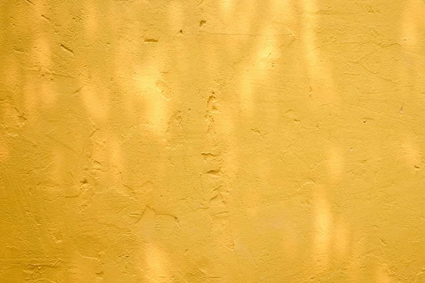 Textuador de fondo abstracto de la hoja de sombras en una pared de hormigón . — Foto de Stock