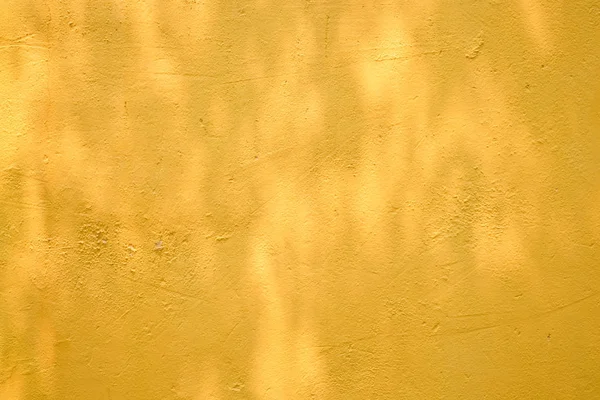 Abstrato fundo textuer de sombras folha em uma parede de concreto . — Fotografia de Stock