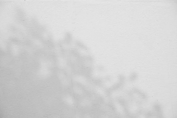 Abstrakter Hintergrund Textuer der Schatten Blatt auf einer Betonwand. — Stockfoto