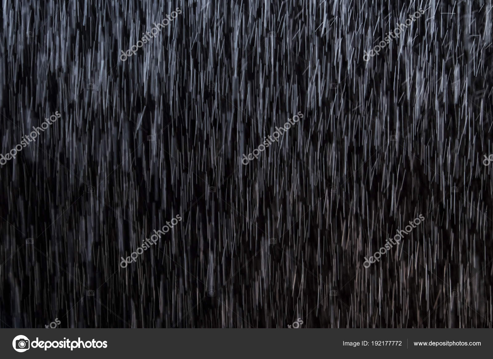 驚くばかり雨 背景 フリー 花の画像