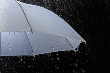 Islak koruma şemsiyesi ile siyah arka plan üzerine doğal fırtına fırtınalı havalarda,