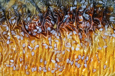 arka plan yakın çekim Saba balık teriyaki ve Restoran ızgara susam