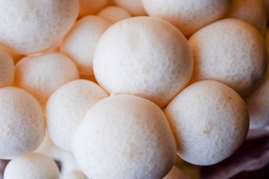 Mantar yemek pişirmek için ahşap masa ham madde üzerinde