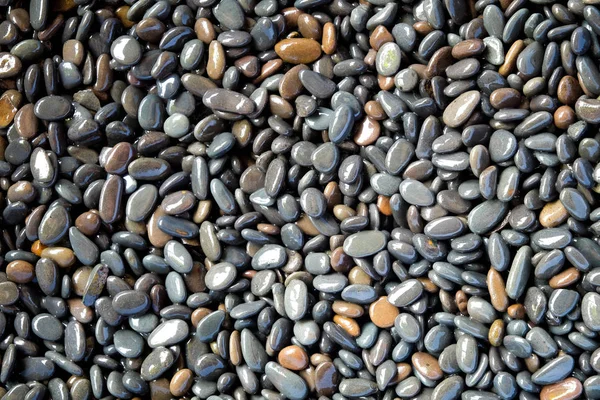 Textura de fundo abstrata, Pedras coloridas do mar na água, Vista superior — Fotografia de Stock
