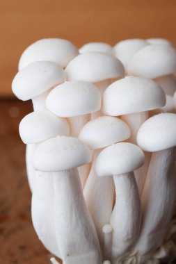 Mantar yemek pişirmek için ahşap masa ham madde üzerinde