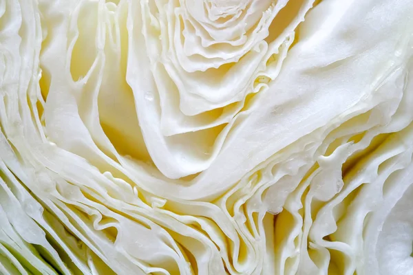 Υφή των περικοπών λευκό λάχανο δείχνει μέσα κυρτή επιφάνεια — Φωτογραφία Αρχείου