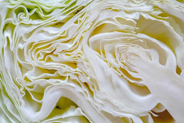 Текстура нарізаної білої капусти, що показує всередині вигнутої поверхні — стокове фото