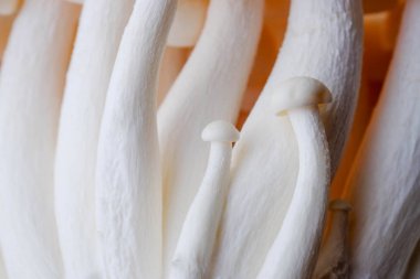 Mantar yemek pişirmek için ahşap masa ham madde üzerinde