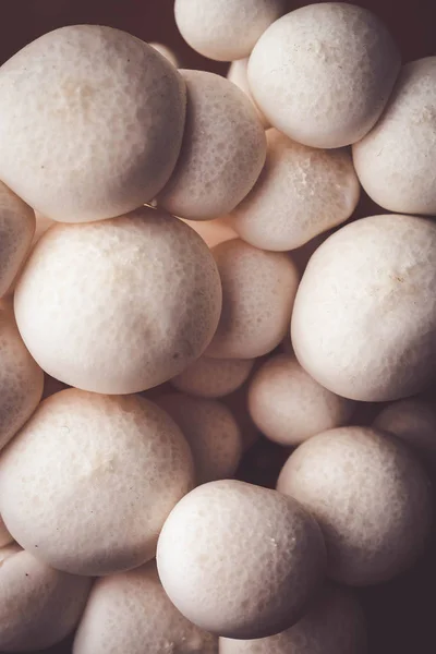 Paddestoelen op de houten tafel grondstoffen voor het koken — Stockfoto