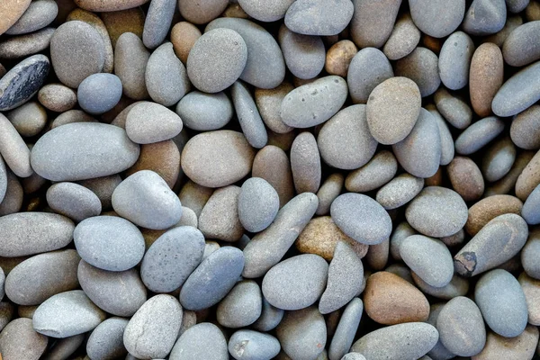 Textura de fundo abstrato, Pedras marinhas coloridas, vista superior — Fotografia de Stock