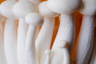 Mantar yemek pişirmek için ahşap masa ham madde üzerinde