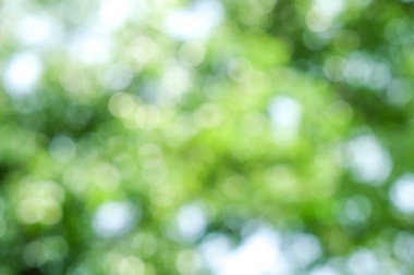 Soyut yeşil bokeh doğa arka plan