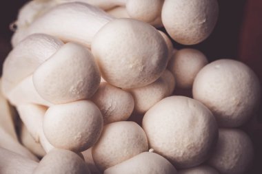 Mantar yemek pişirmek için ahşap masa ham madde üzerinde