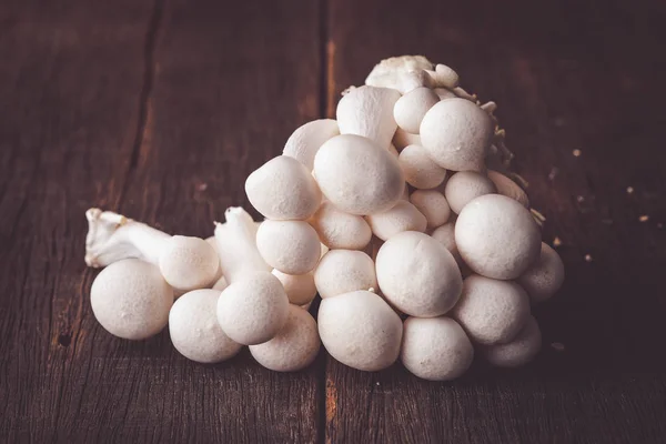 Champignons Sur Table Bois Matières Premières Pour Cuisson — Photo