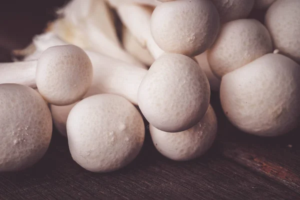 Funghi Sulla Tavola Legno Materie Prime Cucinare — Foto Stock