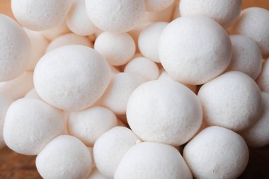 Mantar yemek pişirmek için ahşap masa ham madde üzerinde