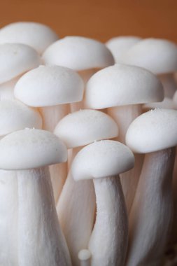 Mantar yemek pişirmek için ahşap masa ham madde üzerinde