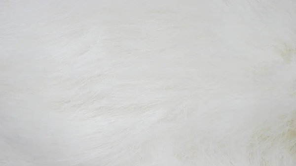 Fond en tissu blanc, tissu blanc et fourrure blanche douce — Photo