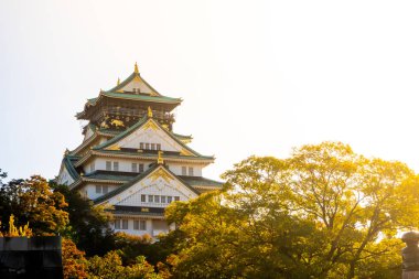 Osaka 'daki Osaka Kalesi' nde sonbahar yaprakları var. Japonya Seyahat Konsepti
