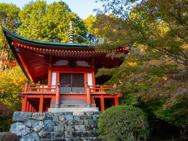 Japon sonbaharı. Kyoto Daigoji Tapınağı.