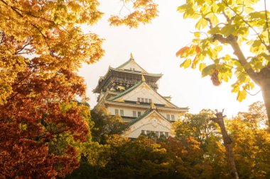 Osaka 'daki Osaka Kalesi' nde sonbahar yaprakları var. Japonya Seyahat Konsepti