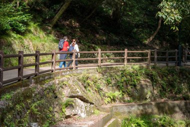 Osaka, Japonya - 07 Kasım 2019: Turist Sonbahar sezonu Red Maple