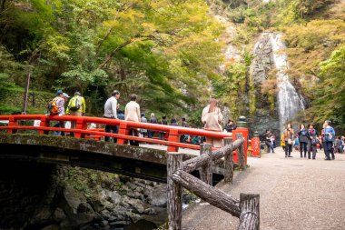 Osaka, Japonya - 07 Kasım 2019: Turist Sonbahar sezonu Red Maple