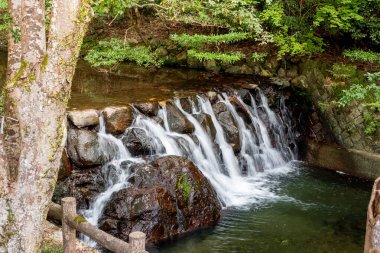 Minoh Parkı Şelalesi ya da Minoo Şelalesi - Osaka, Japonya