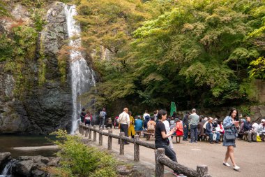 Osaka, Japonya - 07 Kasım 2019: Turist Sonbahar sezonu Red Maple