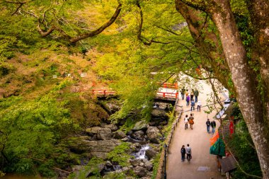 Osaka, Japonya - 07 Kasım 2019: Turist Sonbahar sezonu Red Maple