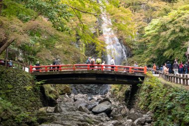 Osaka, Japonya - 07 Kasım 2019: Turist Sonbahar sezonu Red Maple