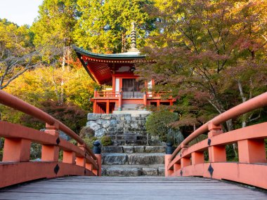 Japon sonbaharı. Kyoto Daigoji Tapınağı.