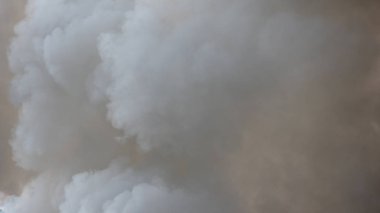 Beyaz duman, sis veya duman arka planı, sis abstraktı