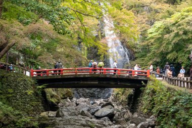 Osaka, Japonya - 07 Kasım 2019: Turist Sonbahar sezonu Red Maple