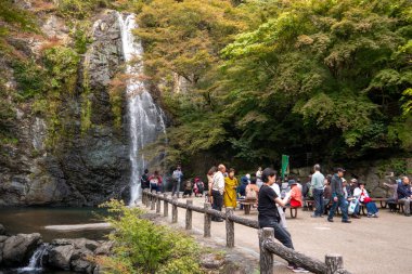 Osaka, Japonya - 07 Kasım 2019: Turist Sonbahar sezonu Red Maple