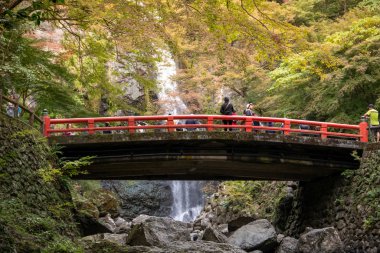 Osaka, Japonya - 07 Kasım 2019: Turist Sonbahar sezonu Red Maple