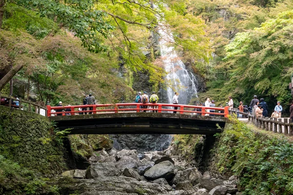 OSAKA, JAPÓN-NOVIEMBRE 07, 2019: turista Temporada de otoño Arce Rojo — Foto de Stock