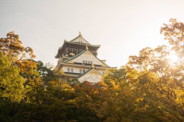 Osaka 'daki Osaka Kalesi' nde sonbahar yaprakları var. Japonya Seyahat Konsepti