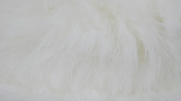 white fabric background, white cloth and soft white fur