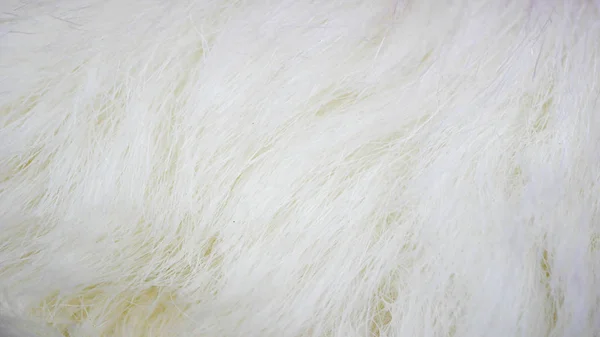 white fabric background, white cloth and soft white fur