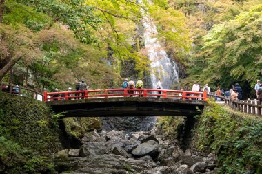 Osaka, Japonya - 07 Kasım 2019: Turist Sonbahar sezonu Red Maple