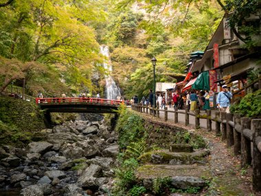 Osaka, Japonya - 07 Kasım 2019: Turist Sonbahar sezonu Red Maple
